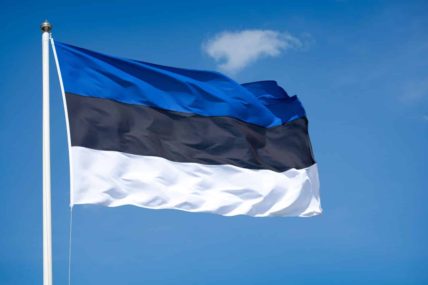 Viron Rahapelilisenssi: Mitä Suomalaisen Kannattaa Tietää?